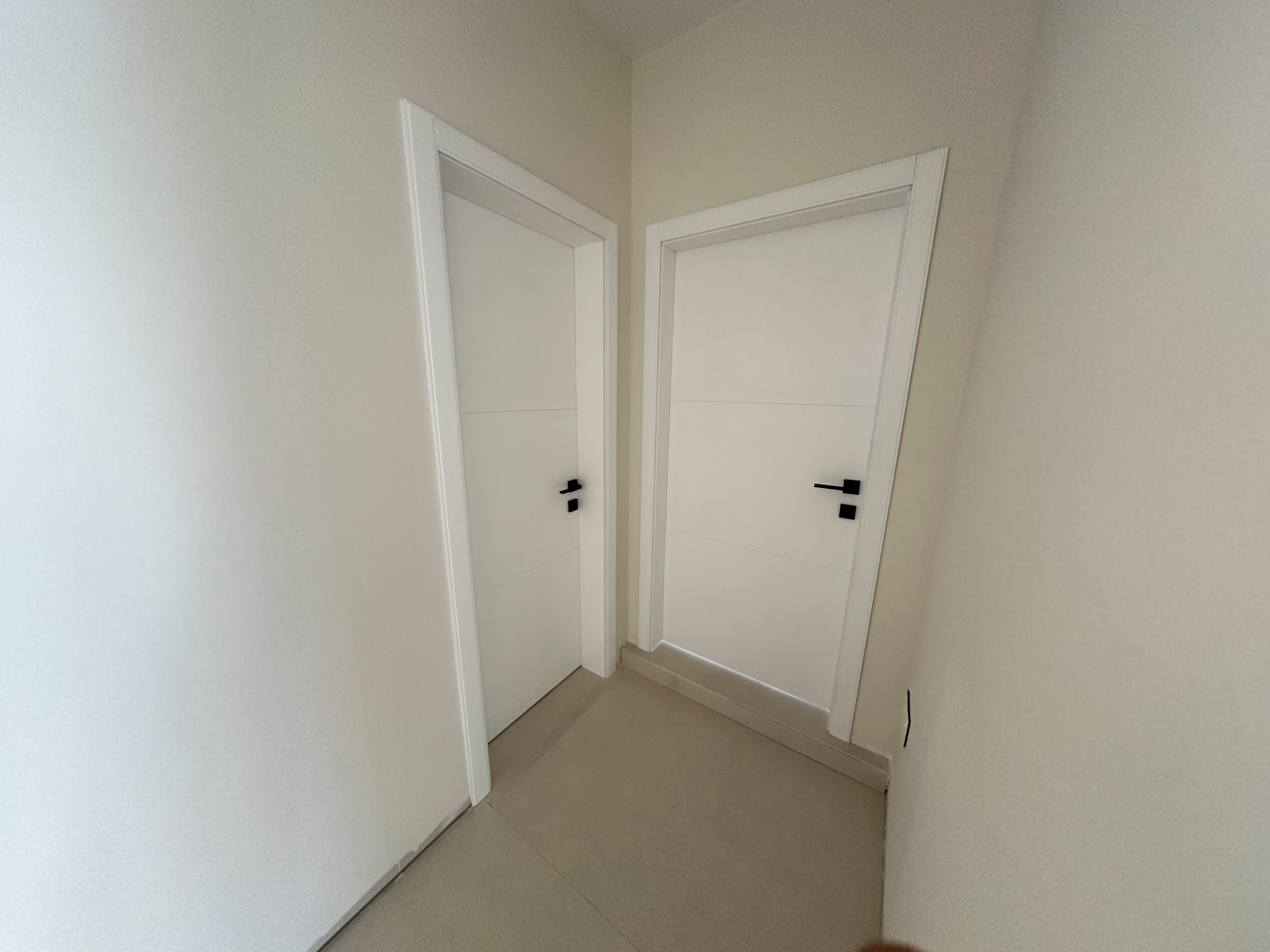 "Vibrant firefly in a nighttime forest scene"